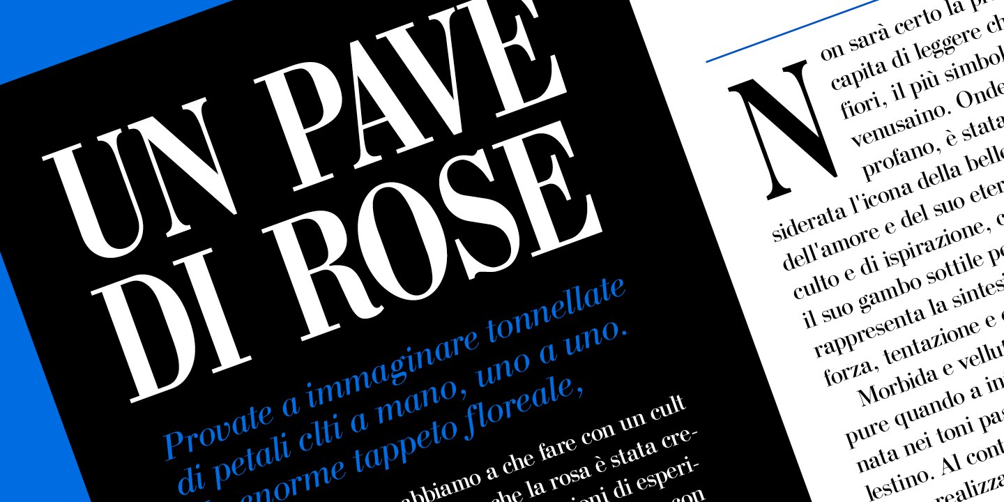 Bodoni / Paratype