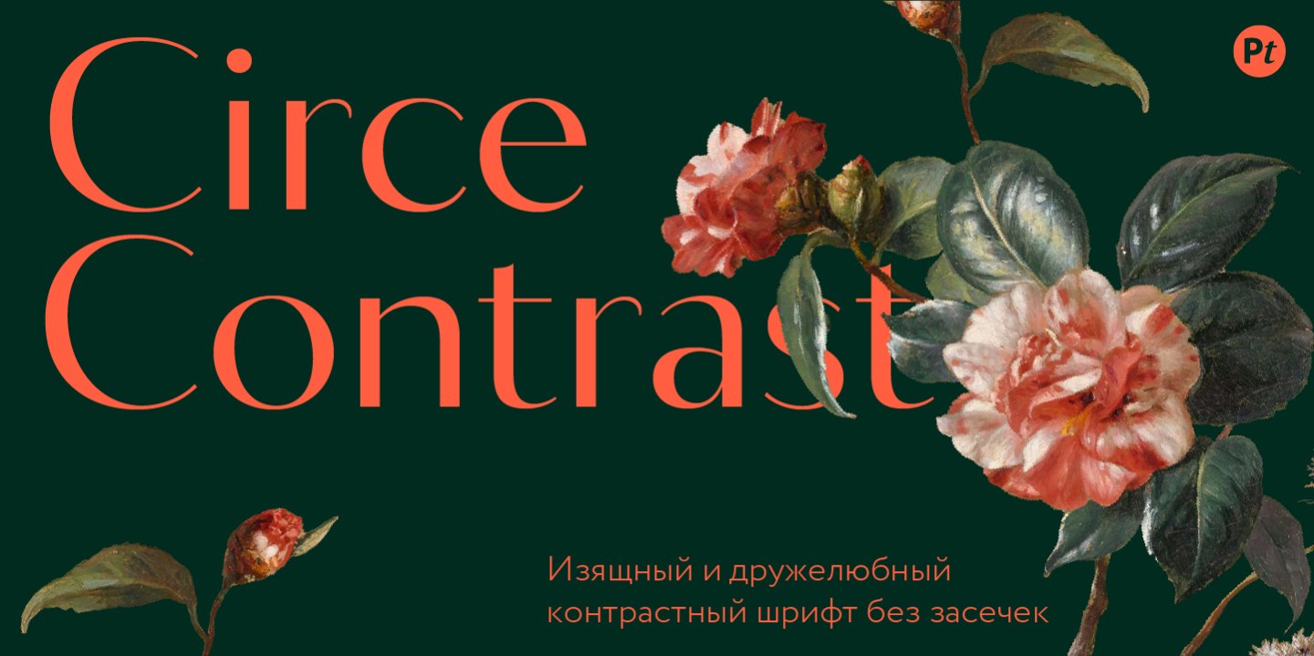 Circe Contrast / Paratype