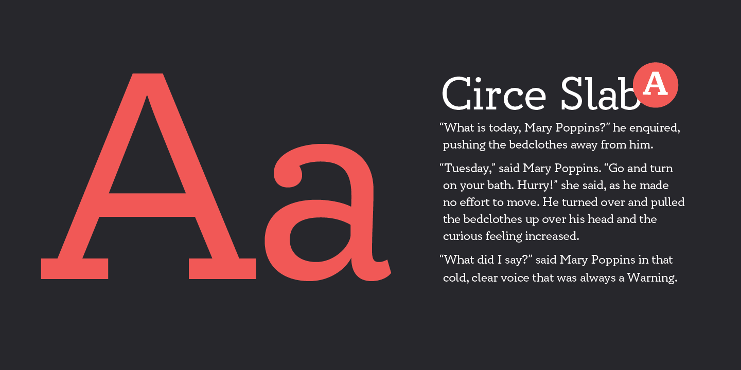 Circe Slab / Paratype