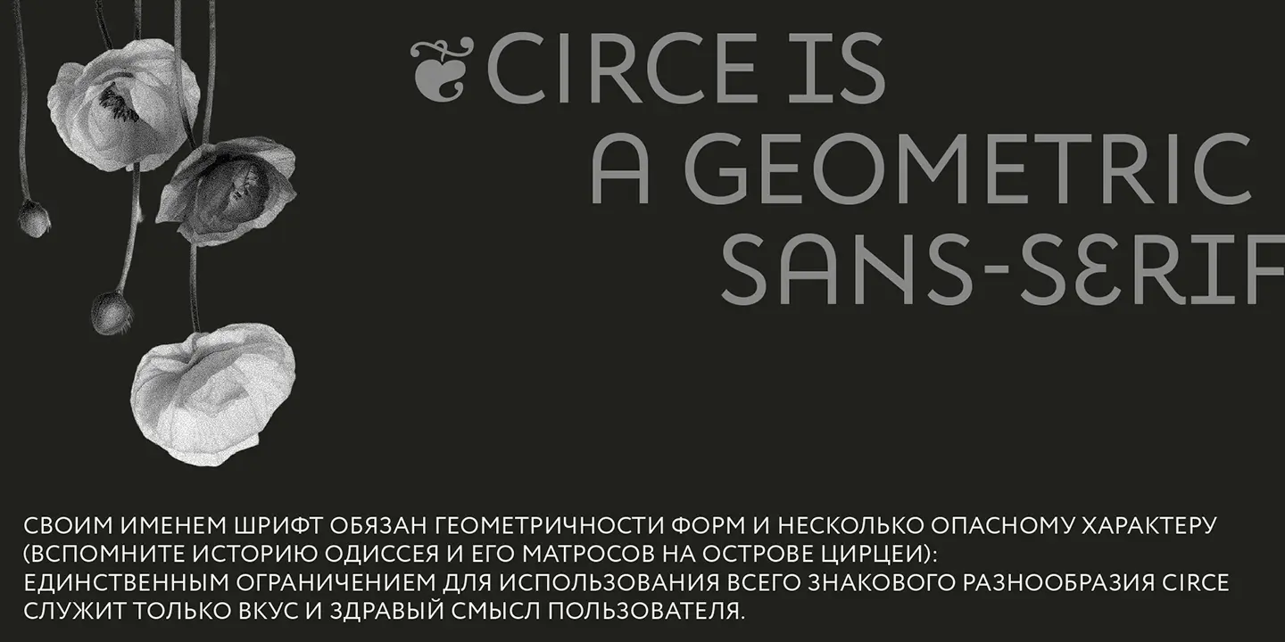 Circe / Paratype