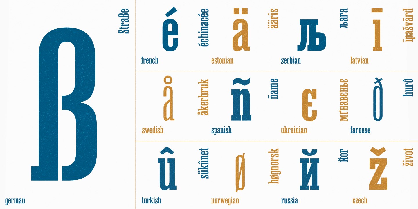 Lehmann Egyptian / Paratype