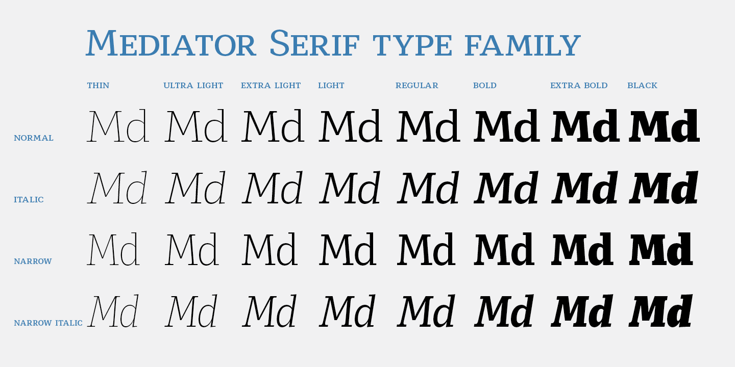 Mediator Serif / Paratype