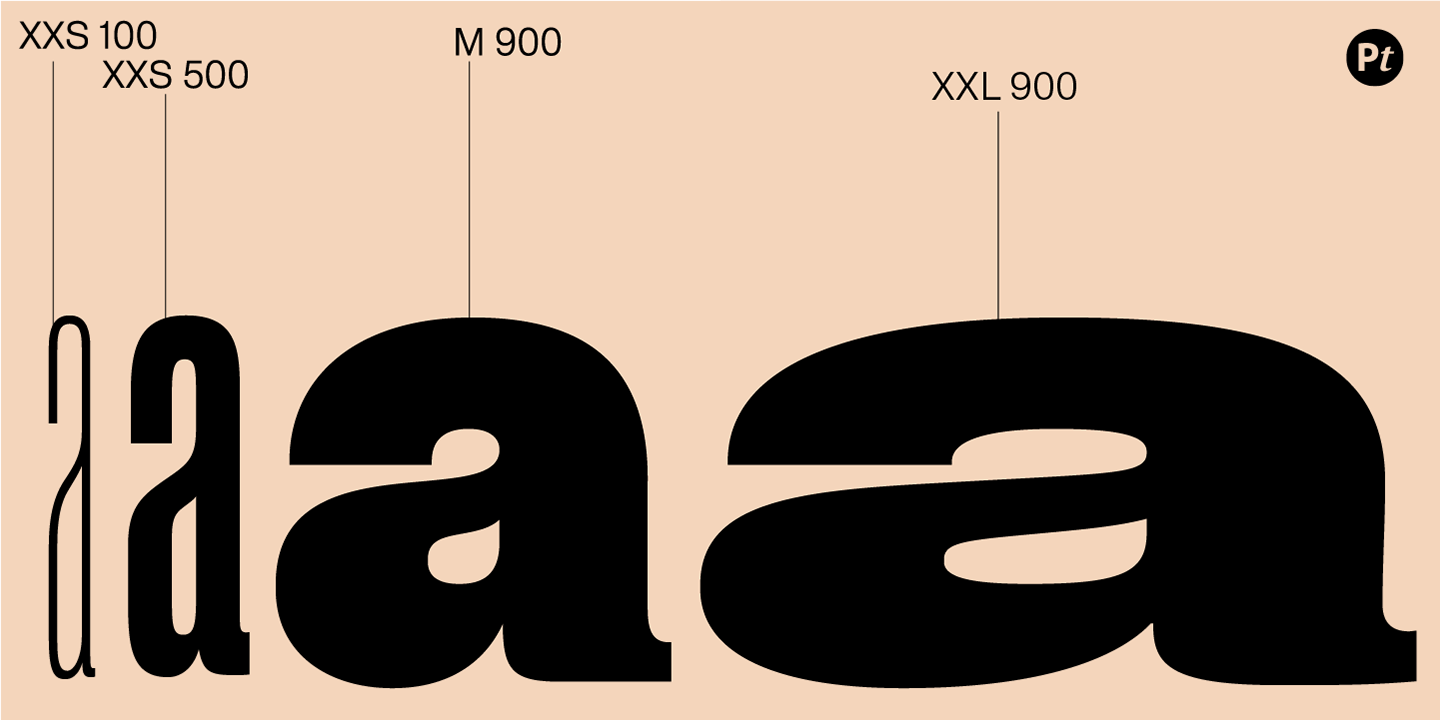 Pragmatica Next / Paratype