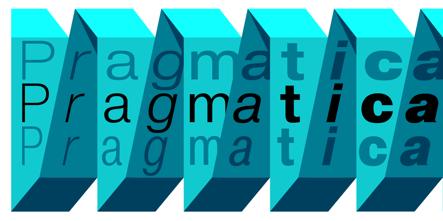 Pragmatica / Paratype