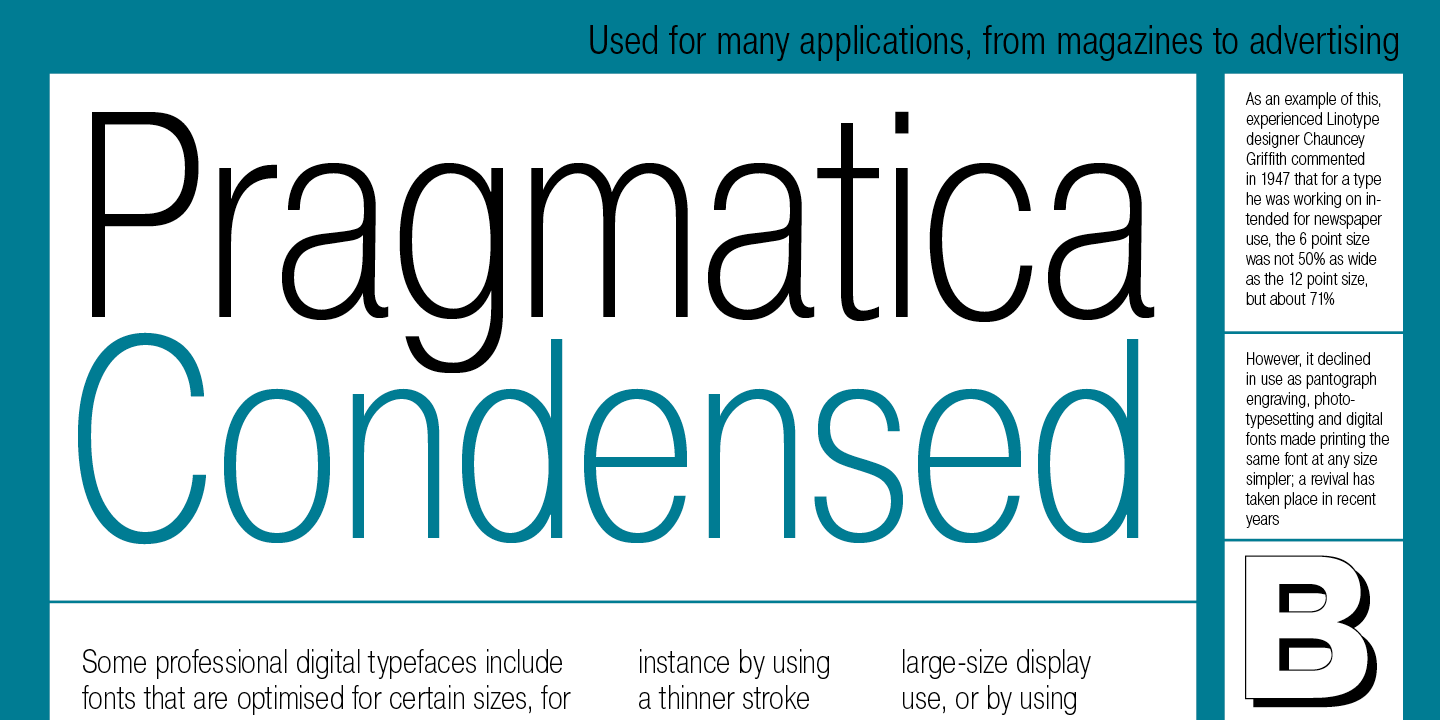 Pragmatica / Paratype