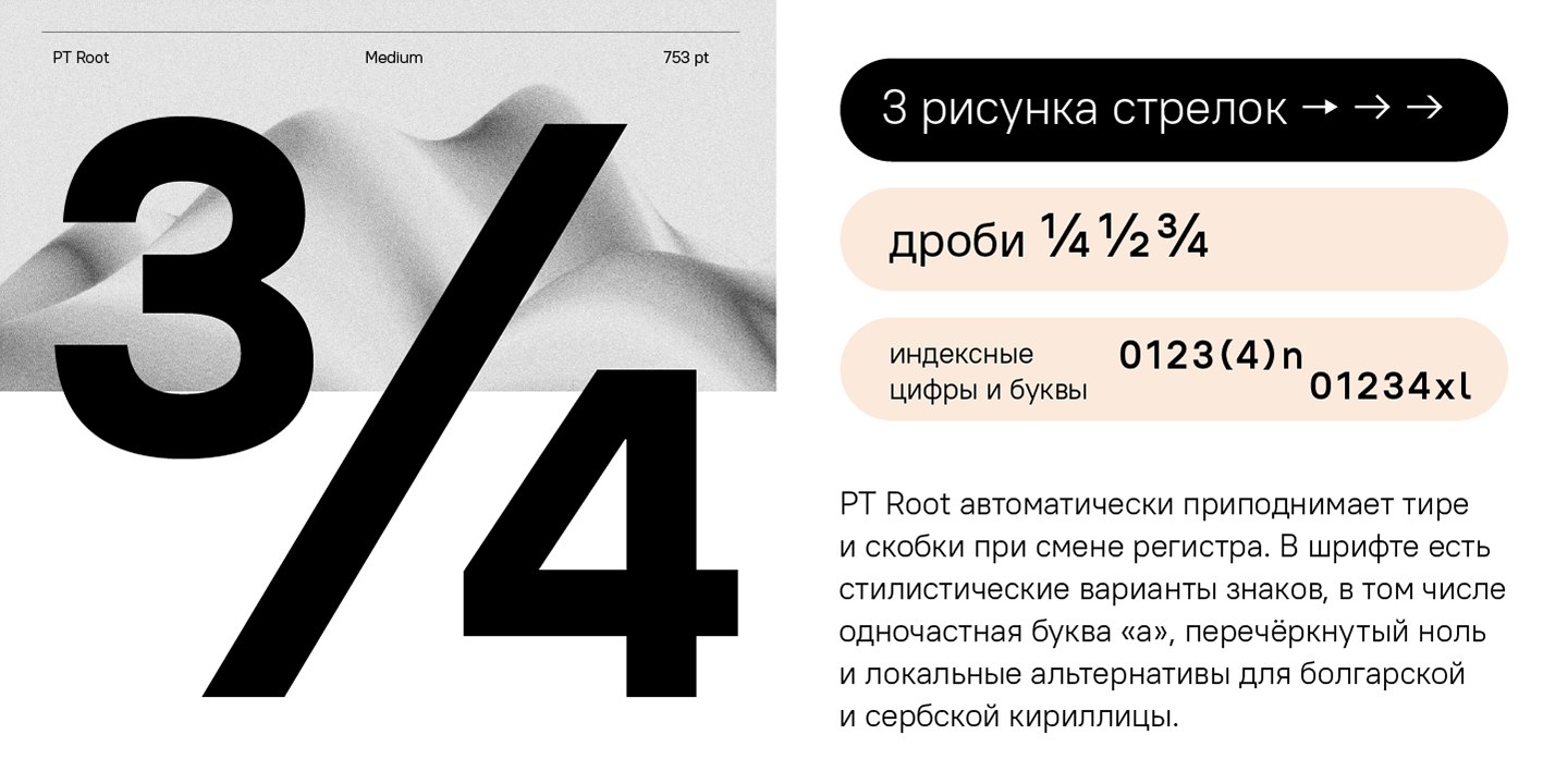 PT Root / Paratype