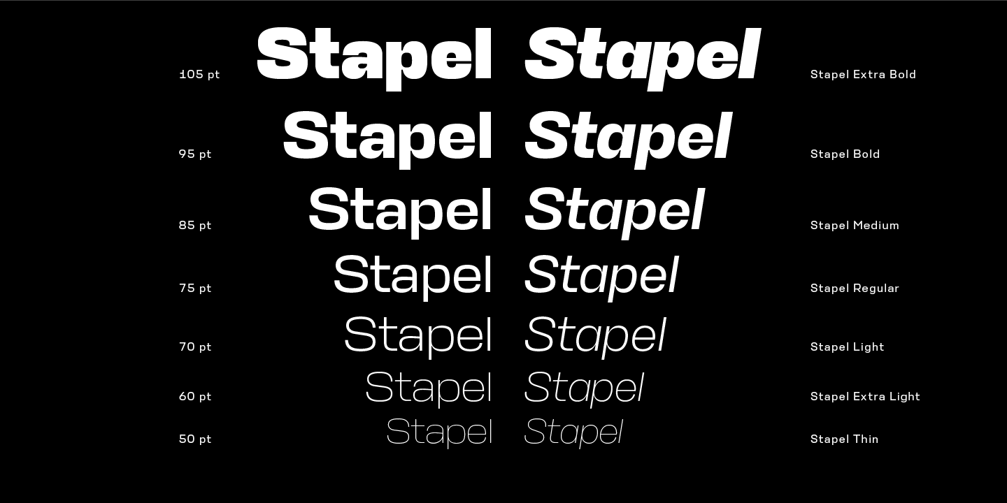 Stapel / Paratype