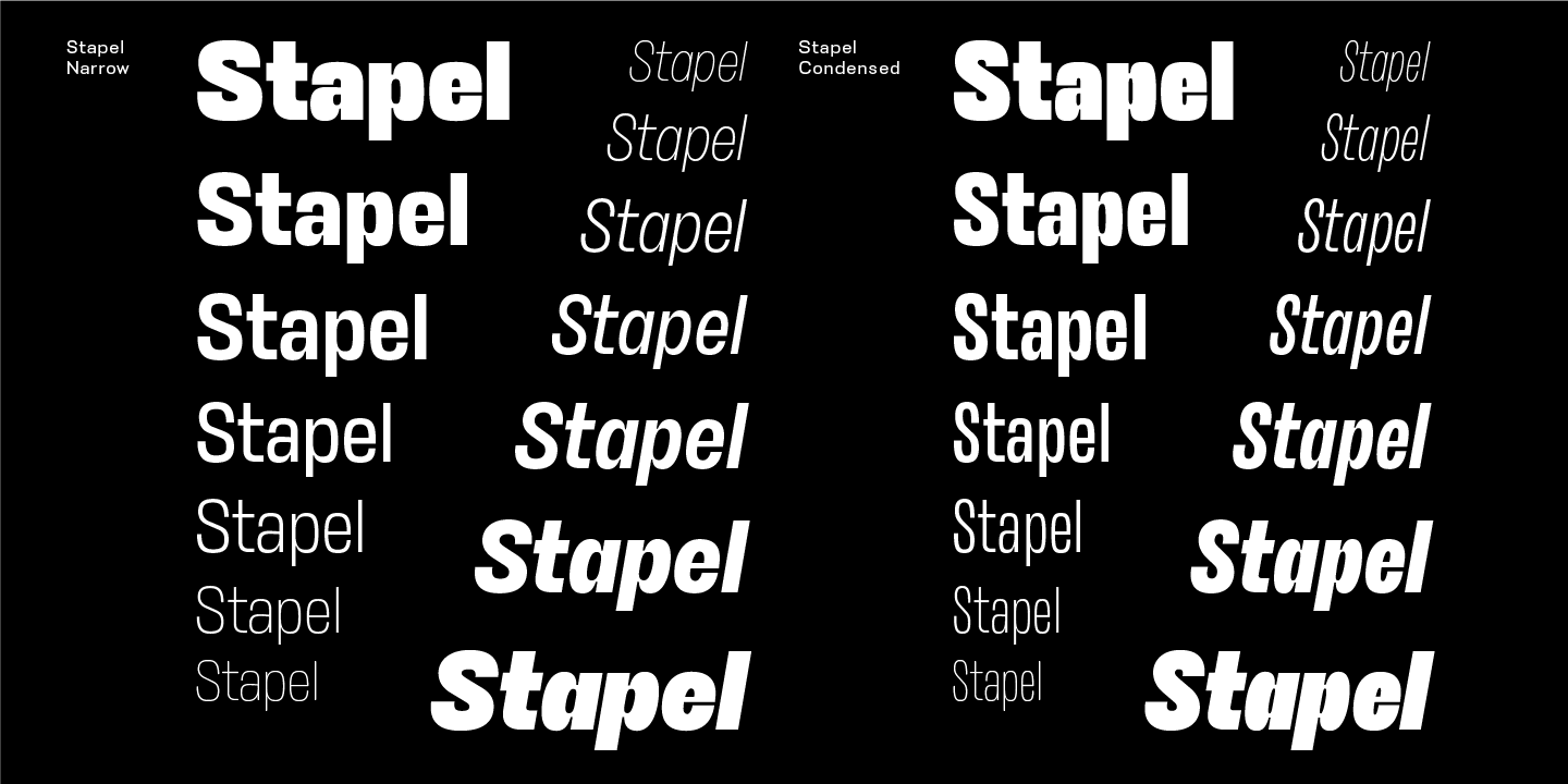 Stapel / Paratype