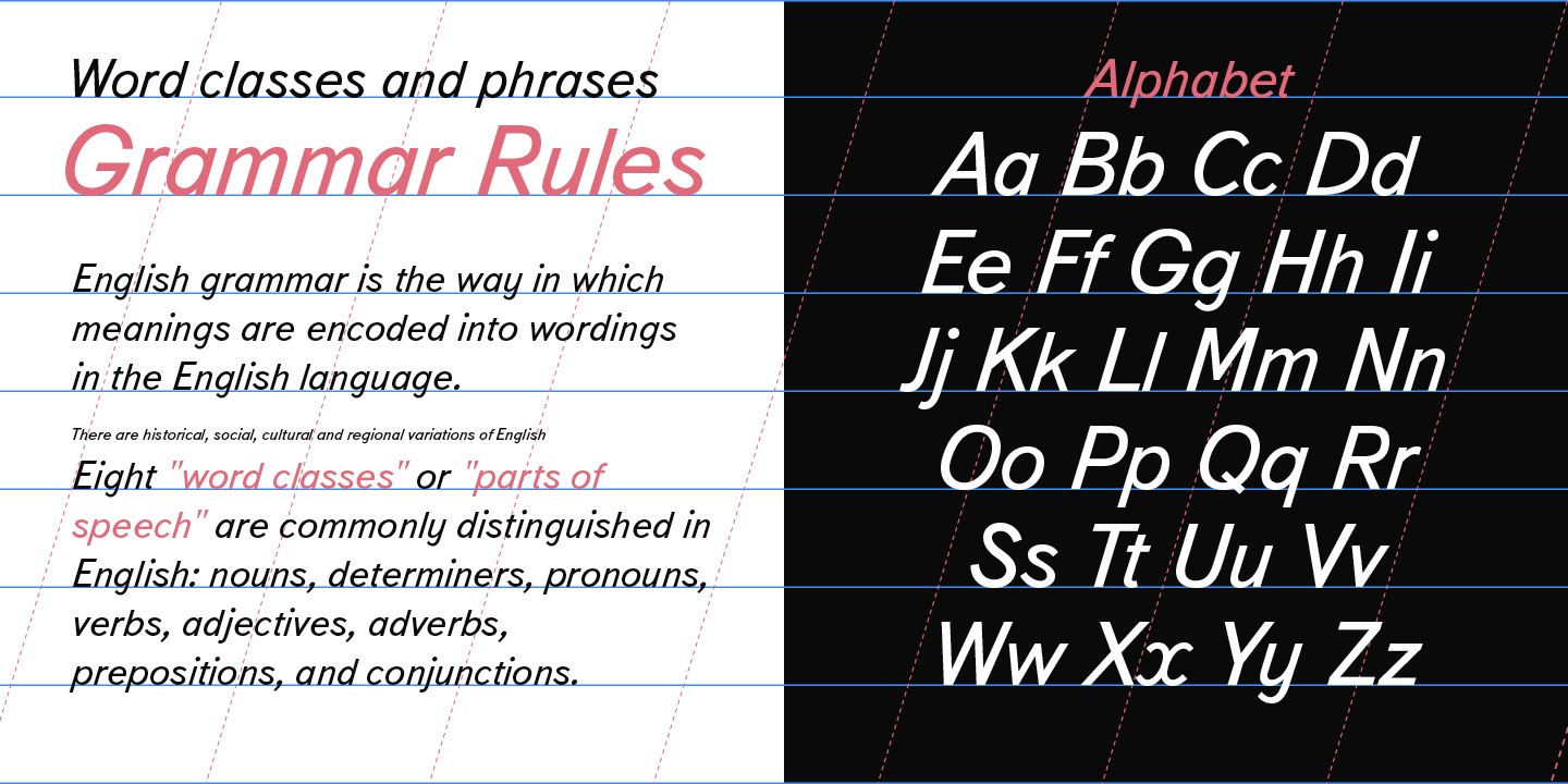 TextBook / Paratype