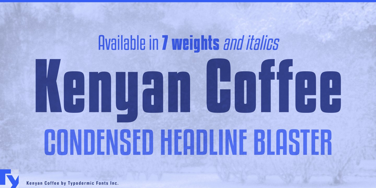 Kenyan Coffee / Typodermic