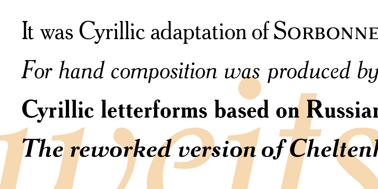 Paratype