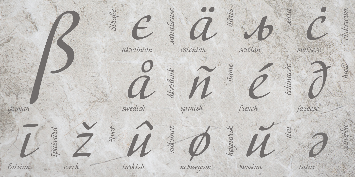 Paratype
