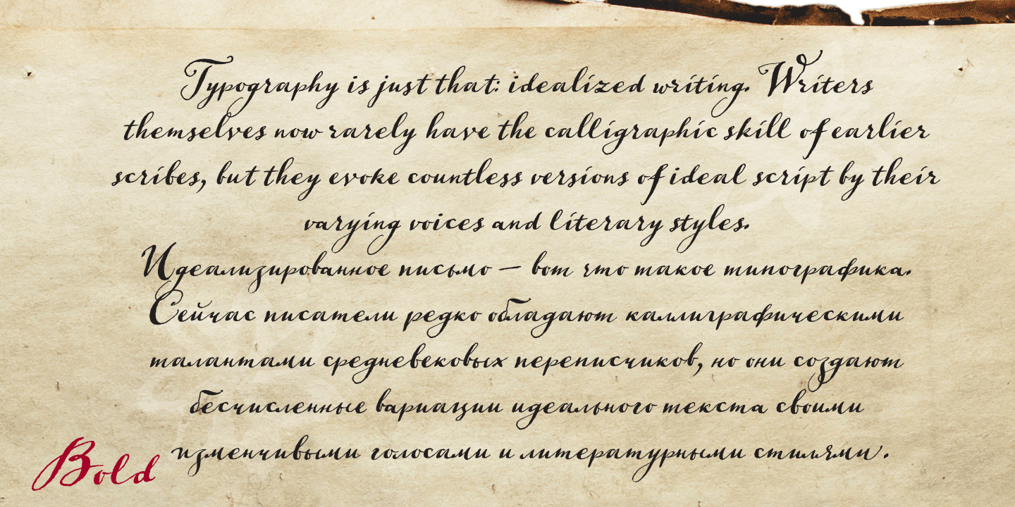 Paratype