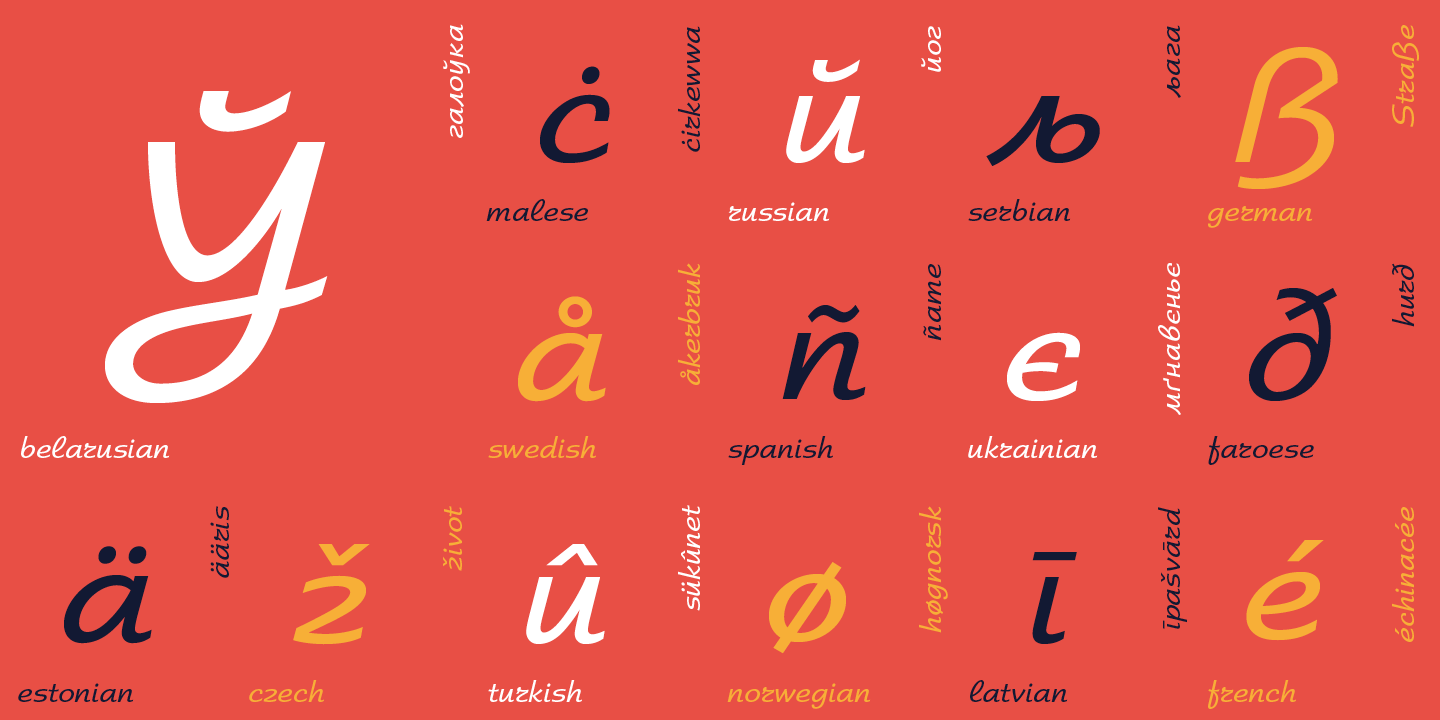 Paratype