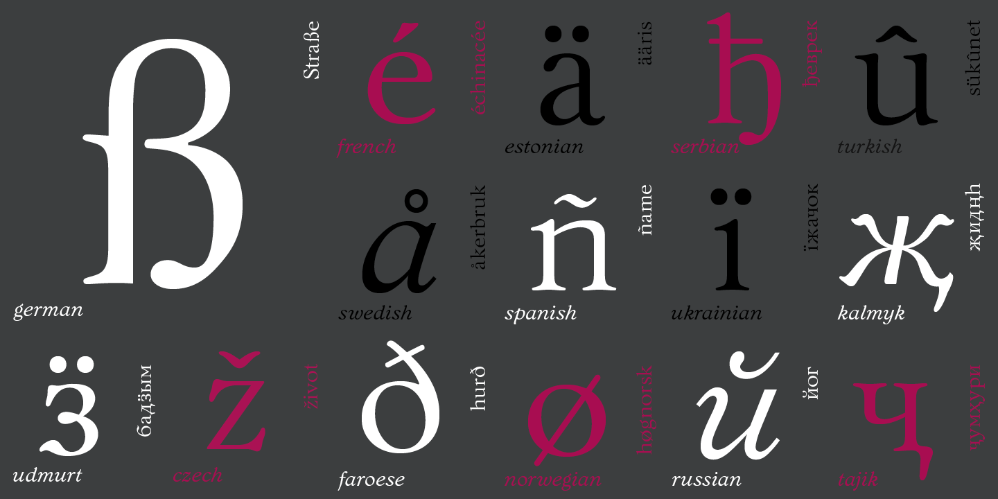 Paratype