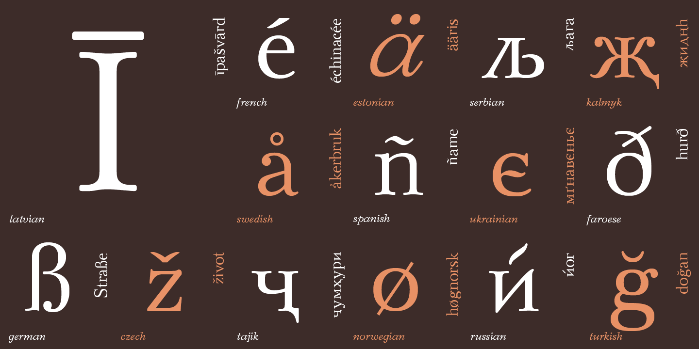 Paratype