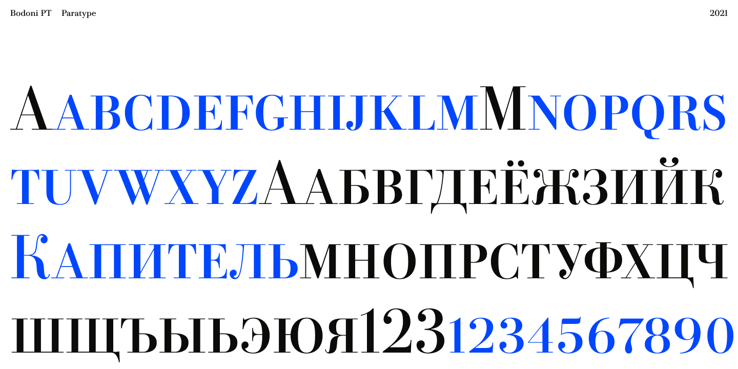 Paratype