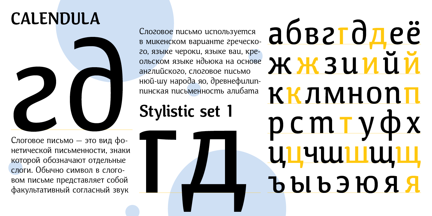 Paratype