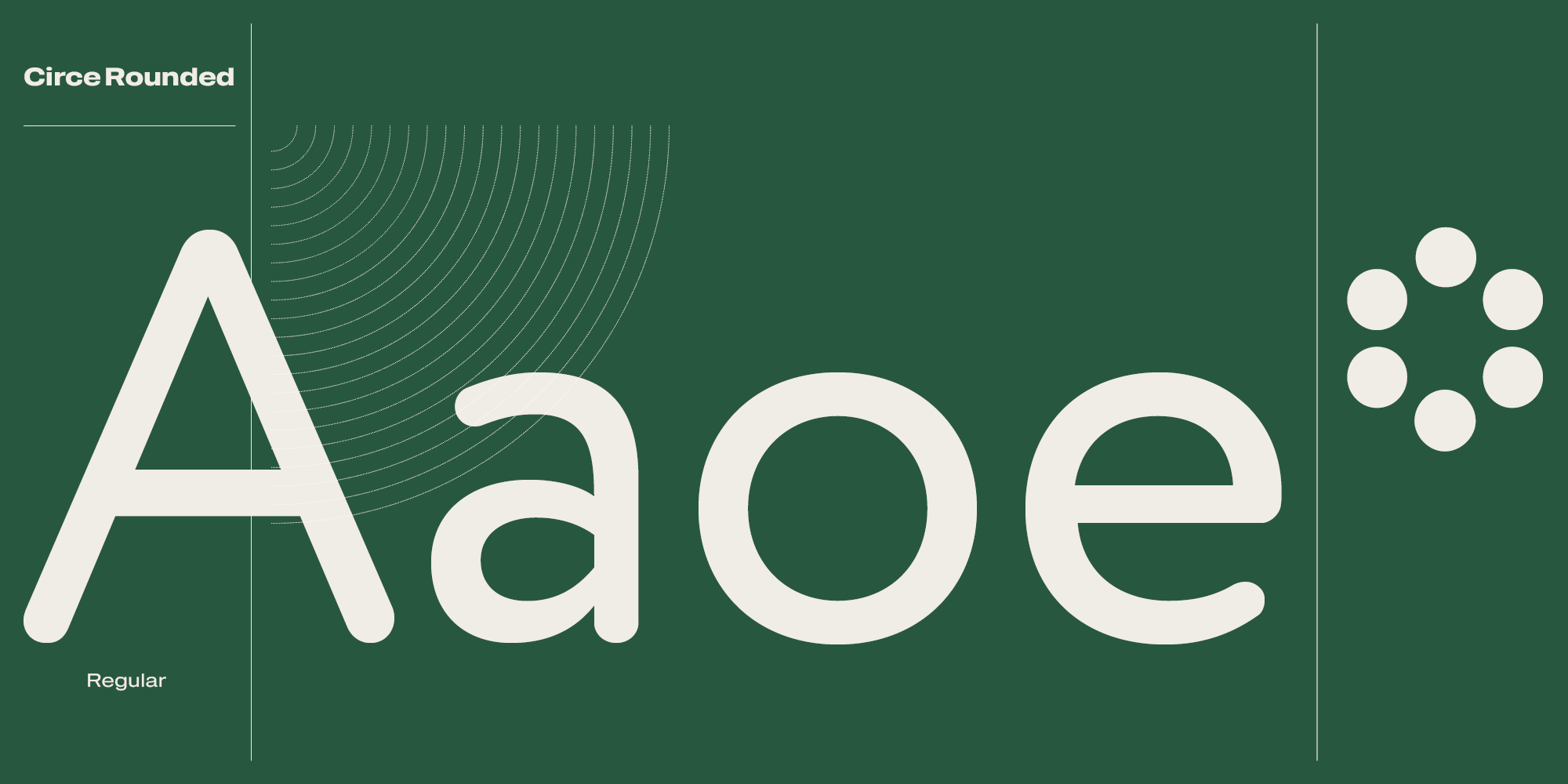 Paratype