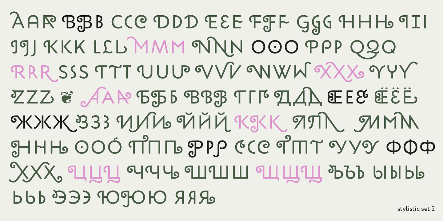 Paratype