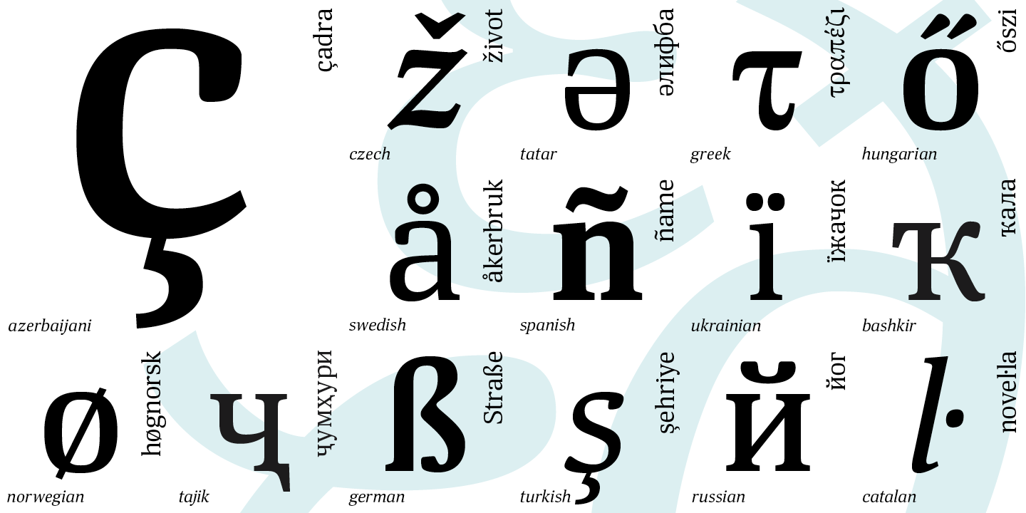 Paratype