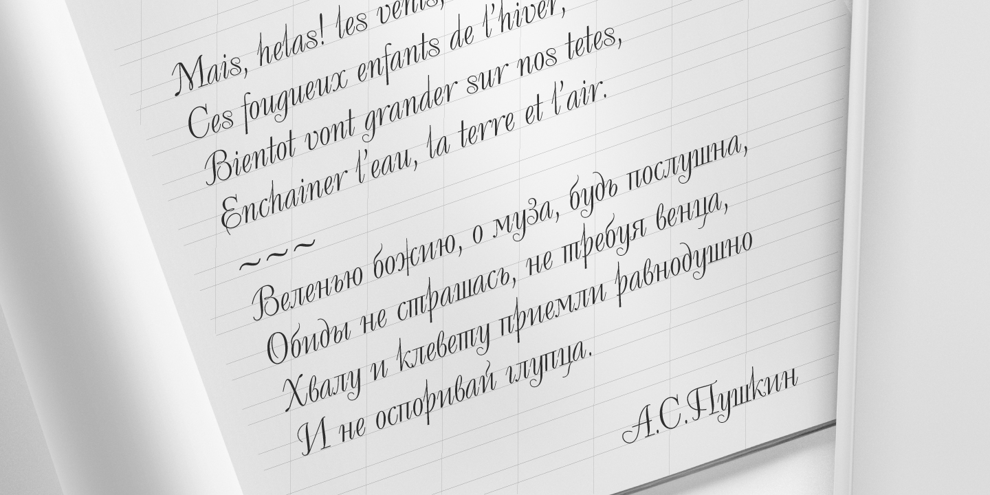 Paratype