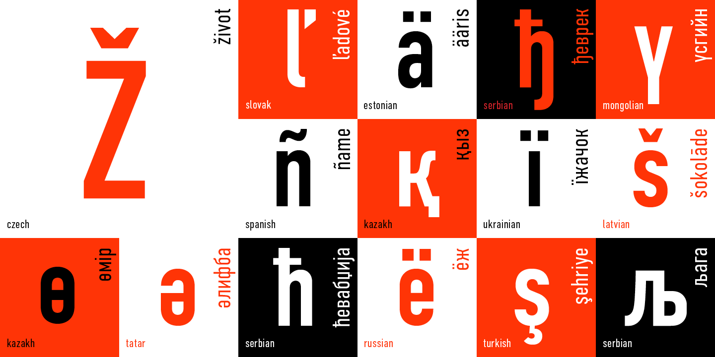 Paratype