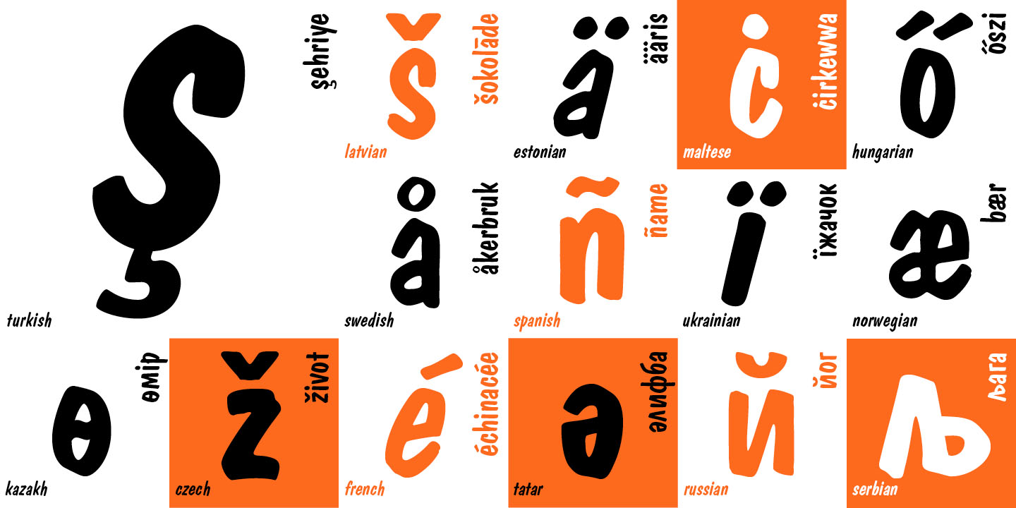 Paratype