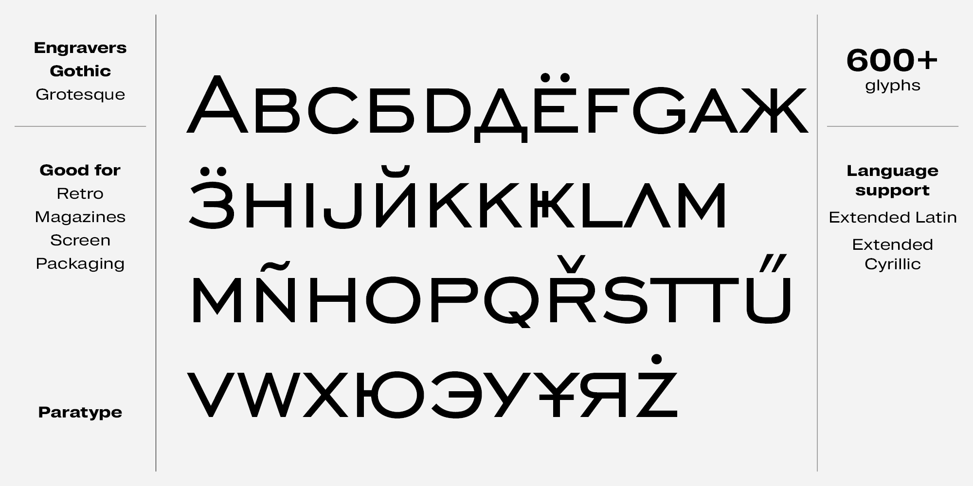 Paratype