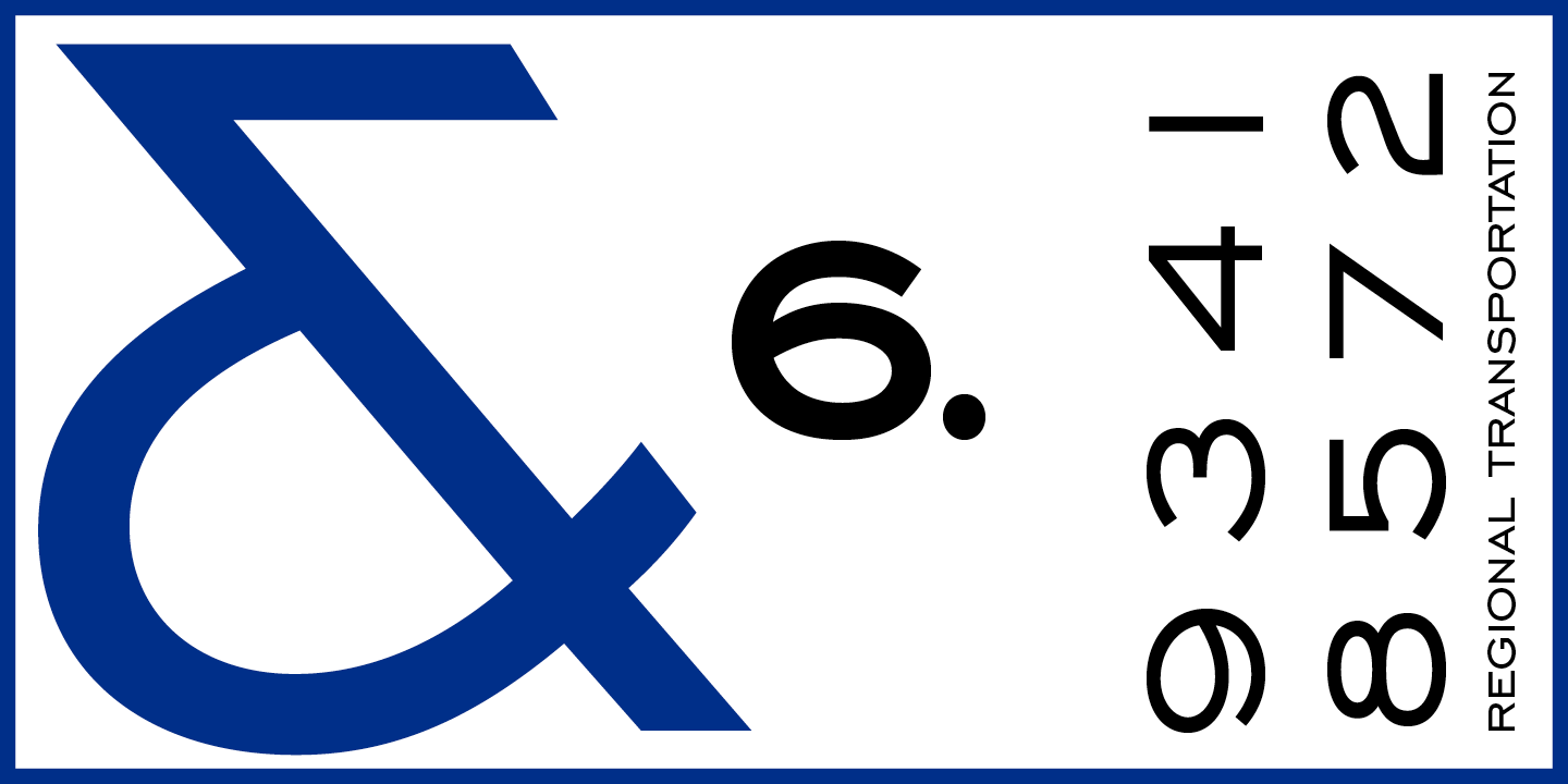 Paratype