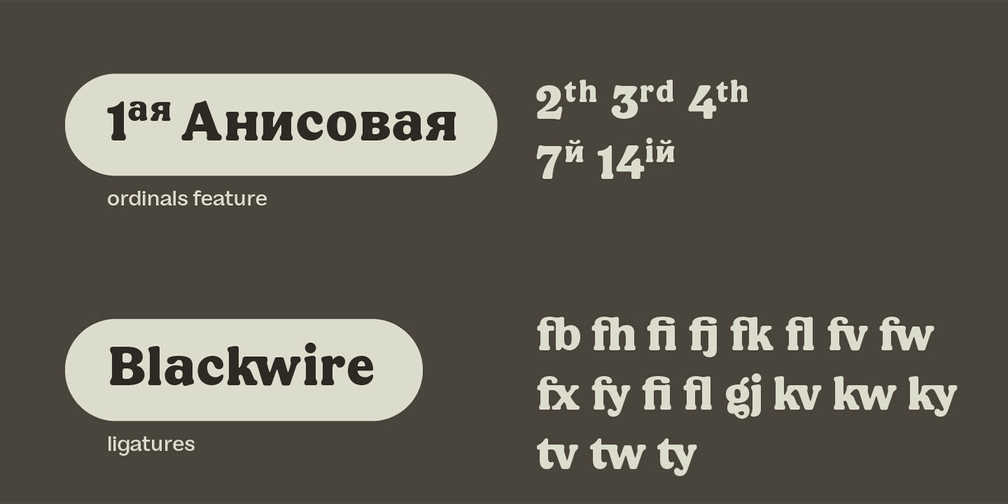 Paratype