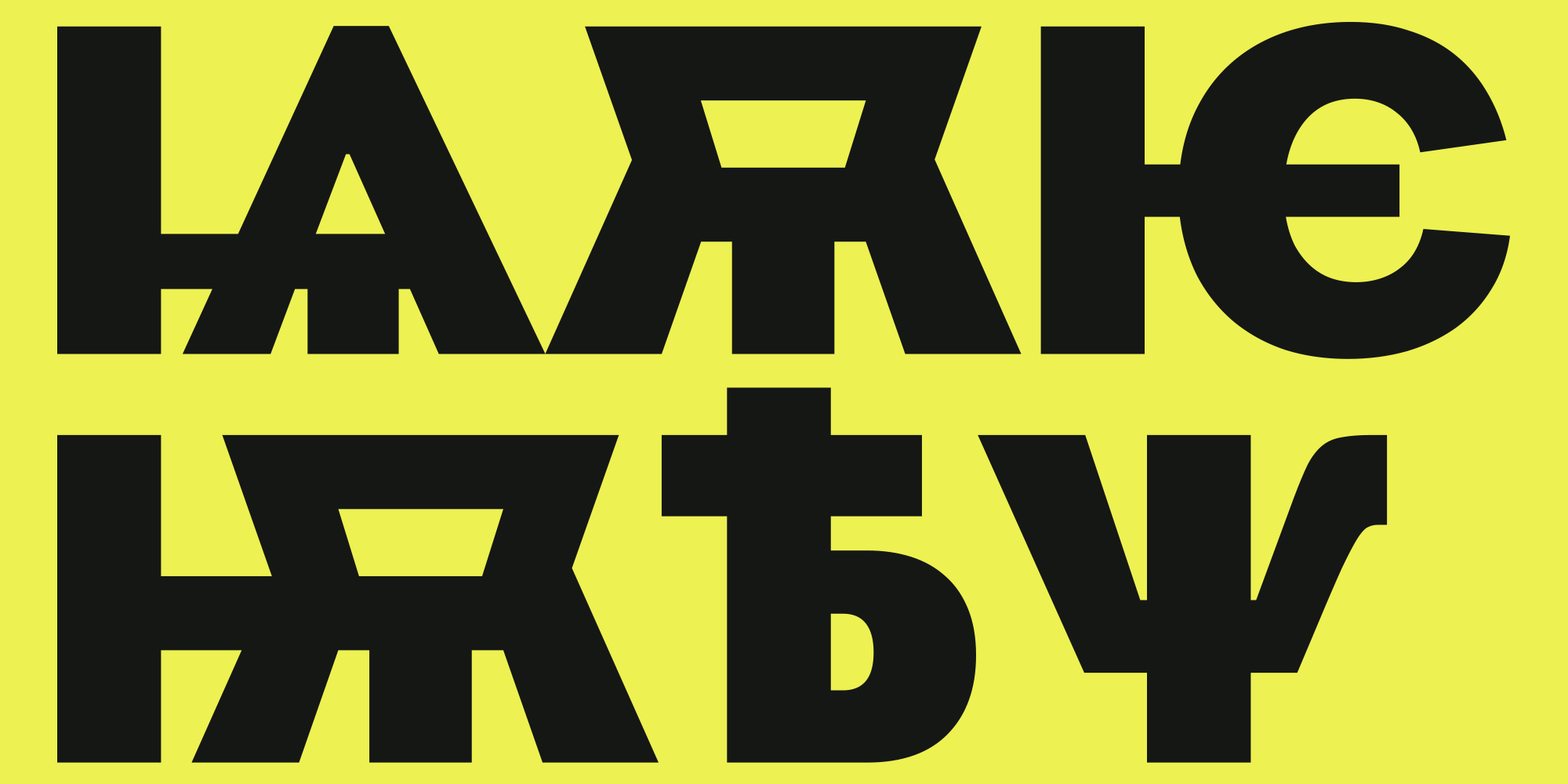 Paratype