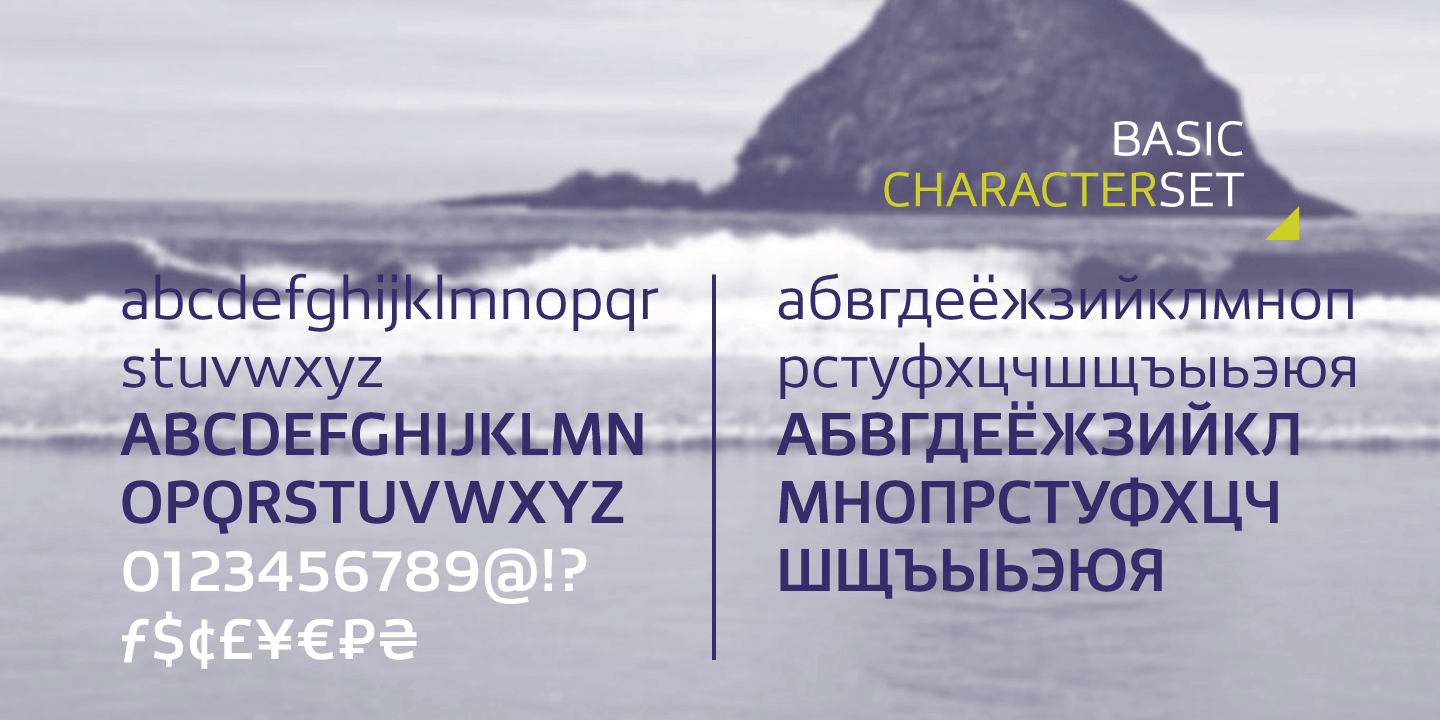 Paratype