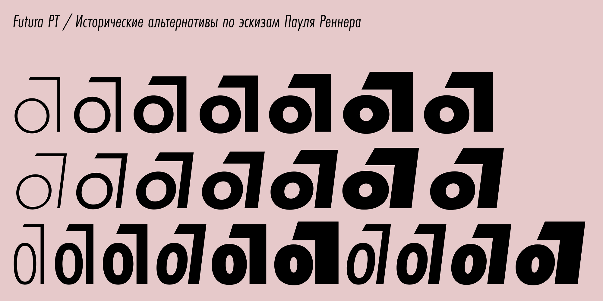 Paratype