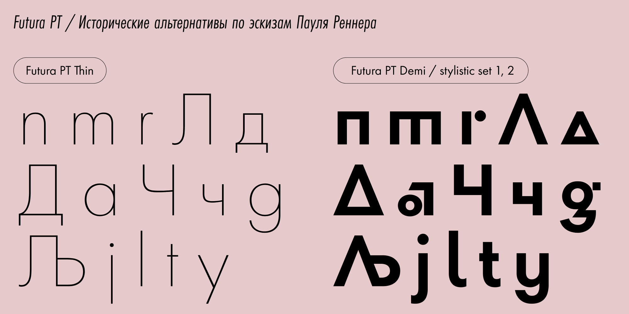 Paratype