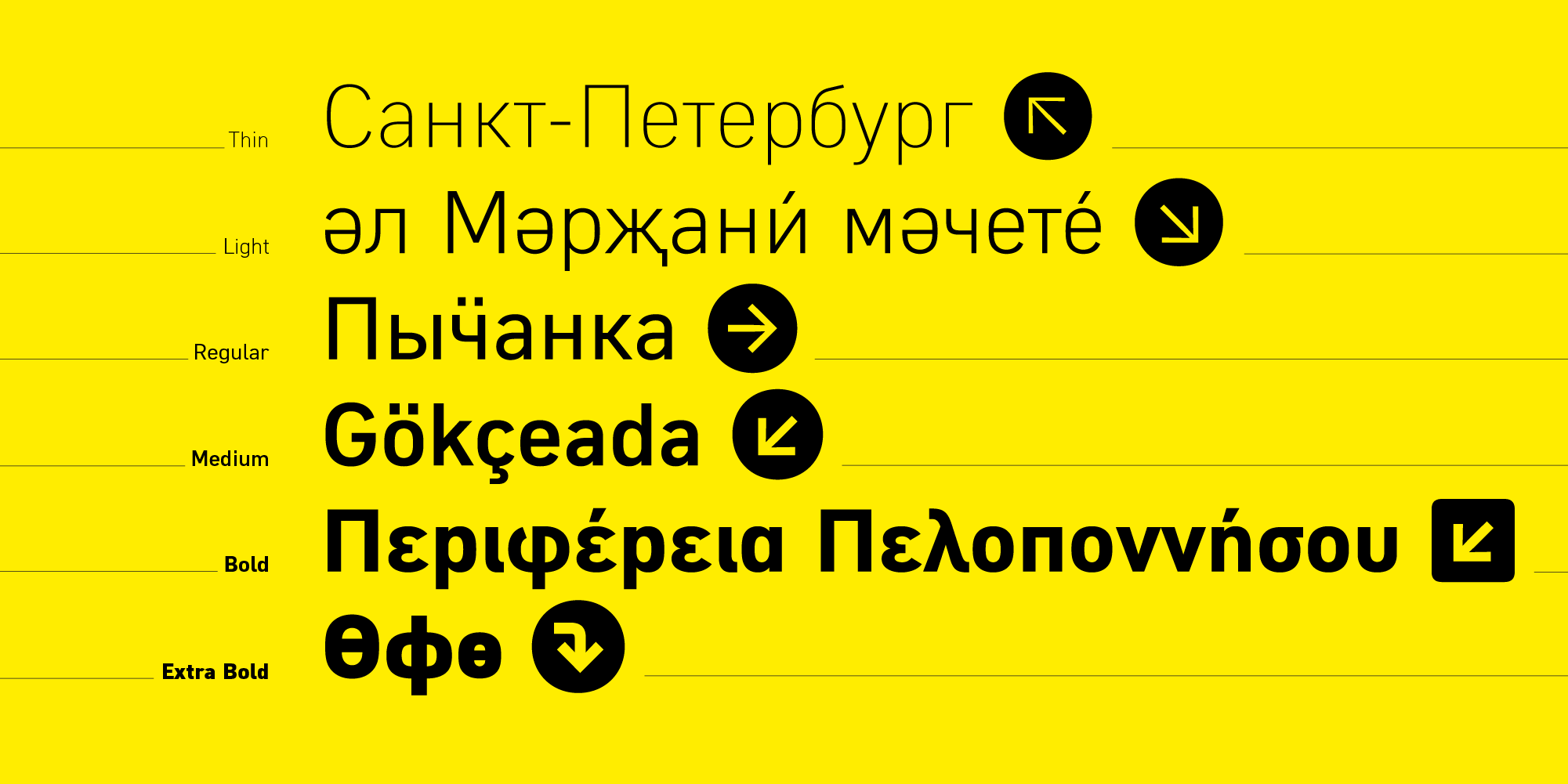 Paratype