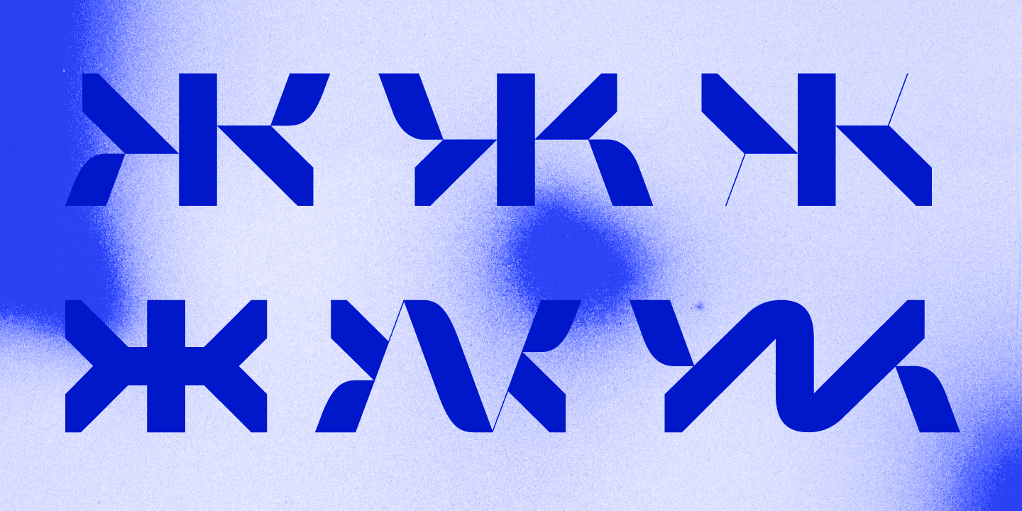 Paratype