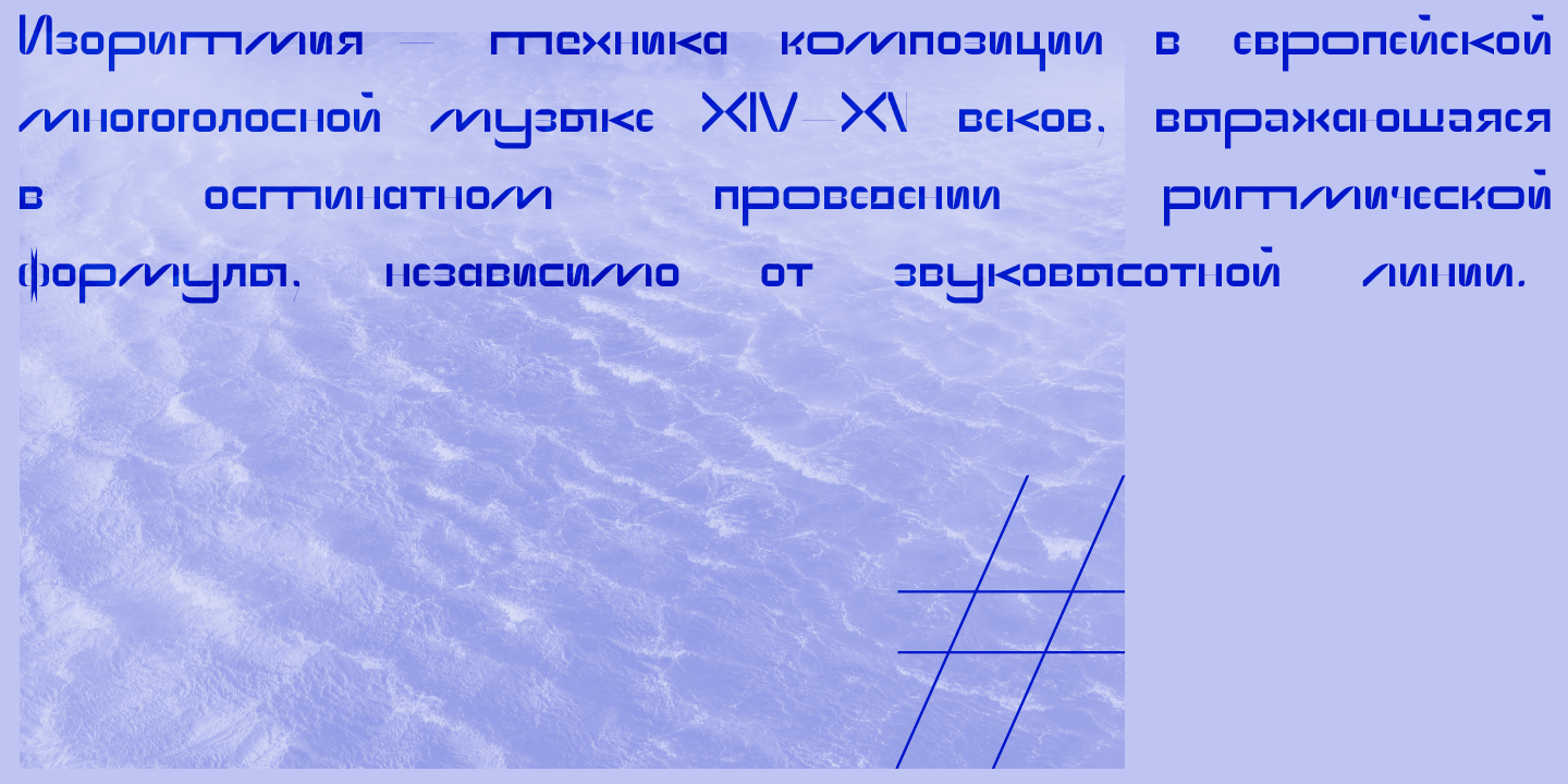 Paratype