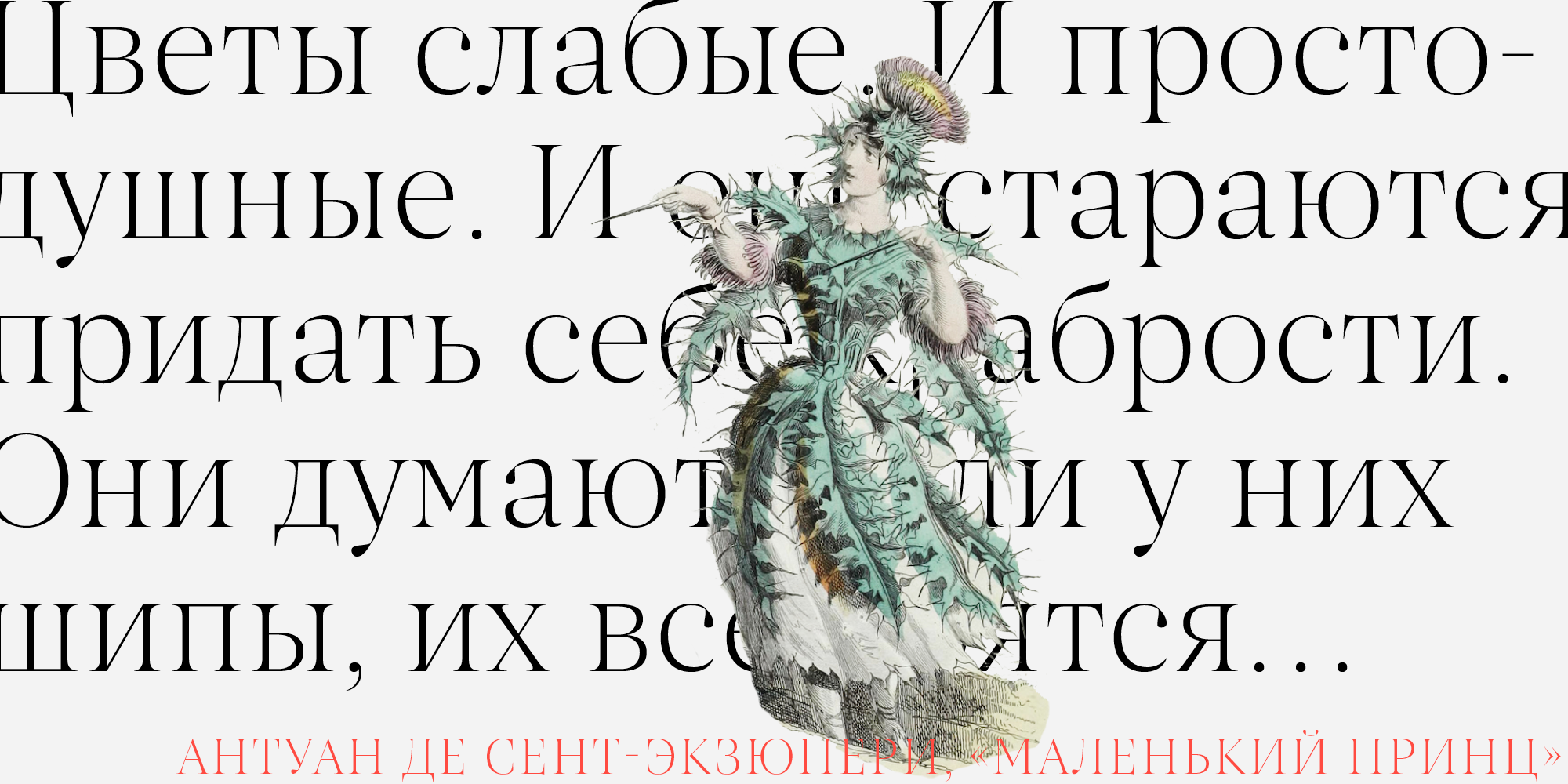 Рекомендуем