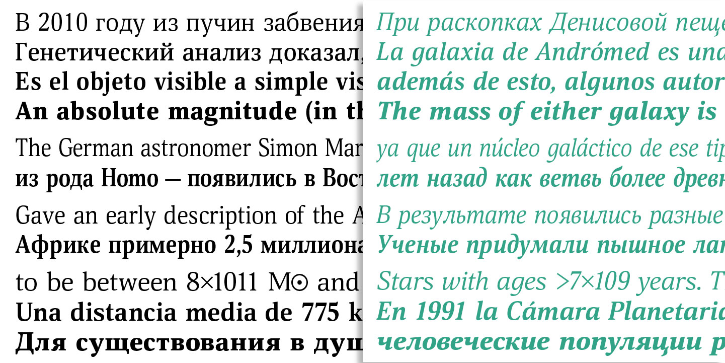 Paratype