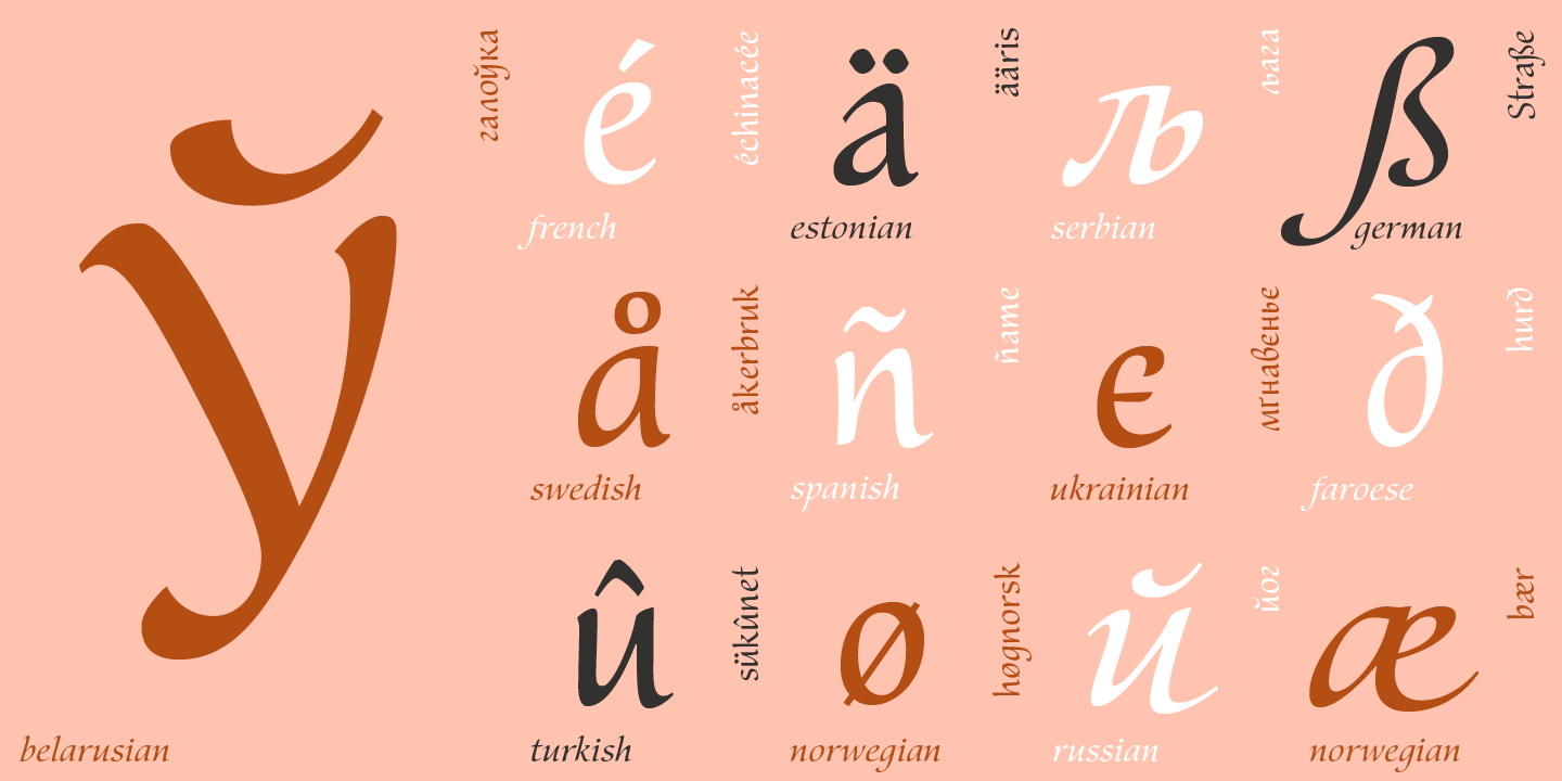 Paratype