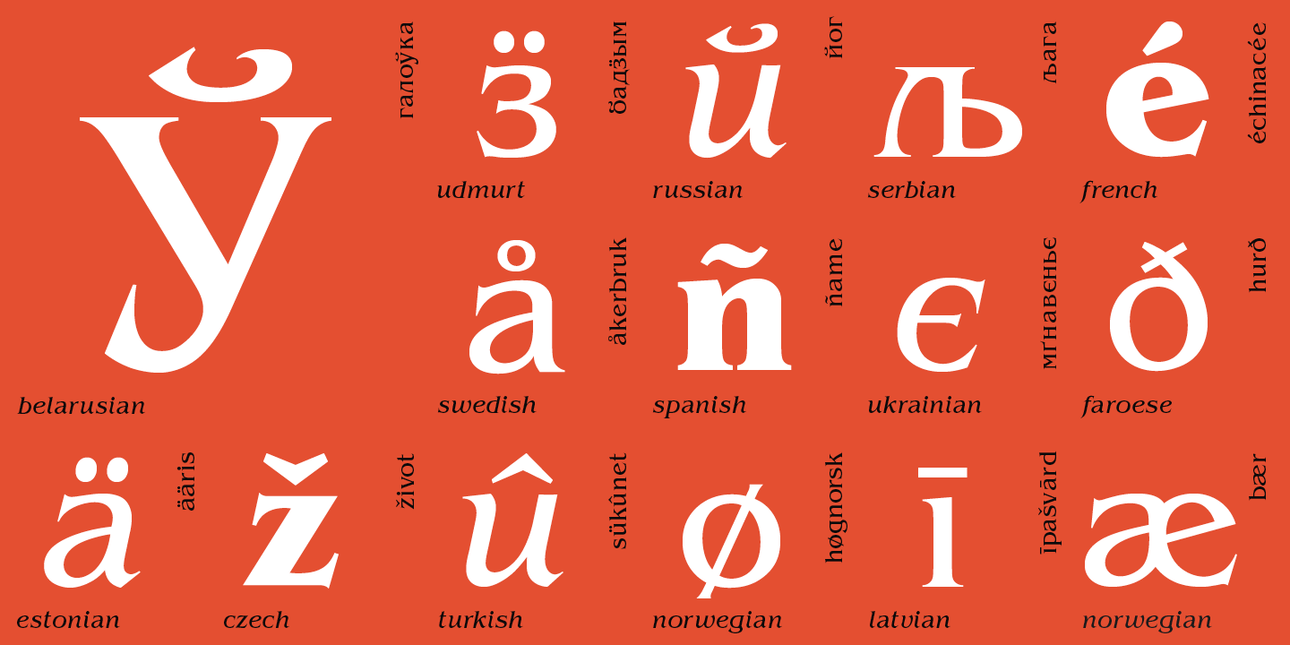 Paratype