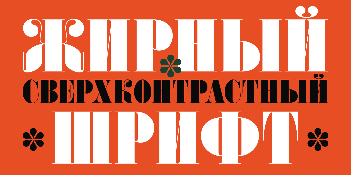 Paratype