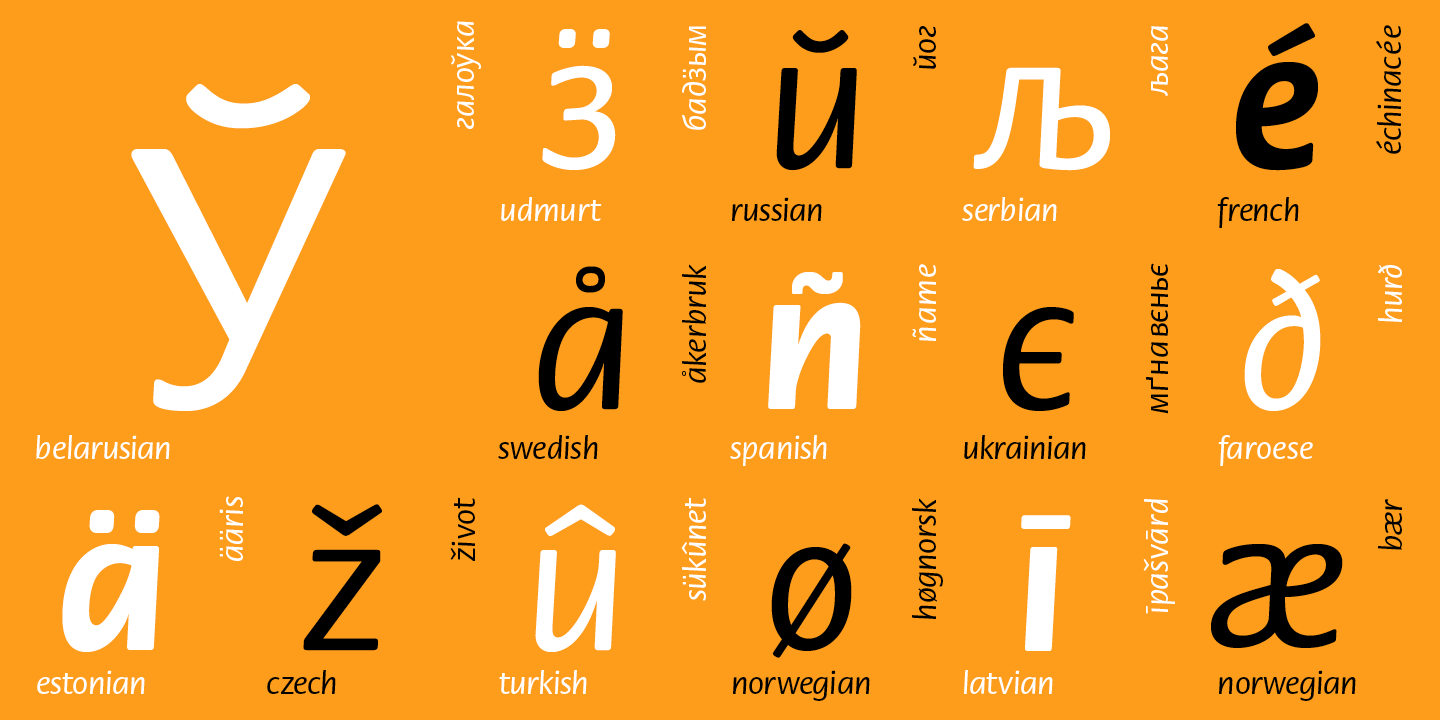 Paratype