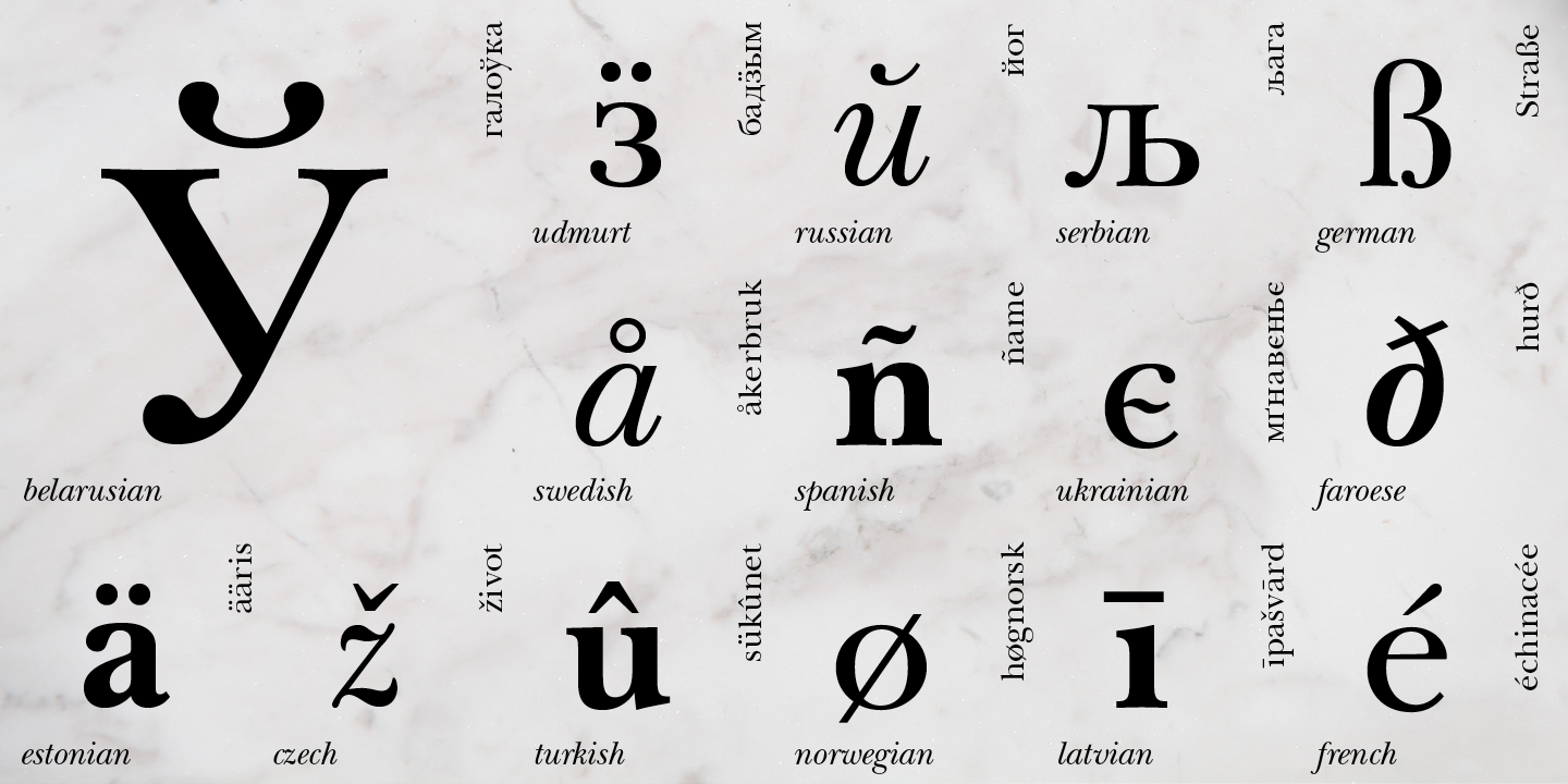 Paratype