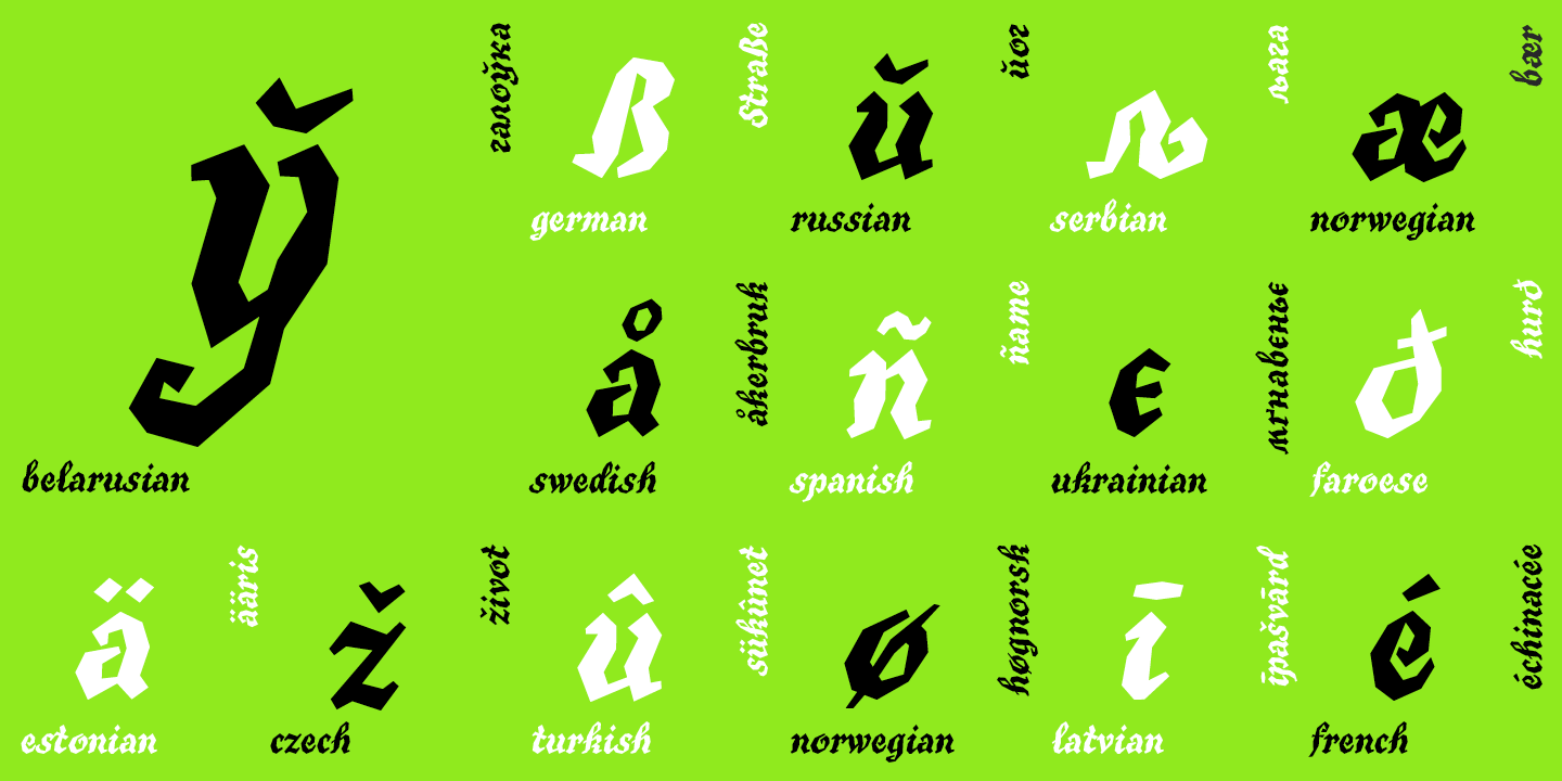 Paratype