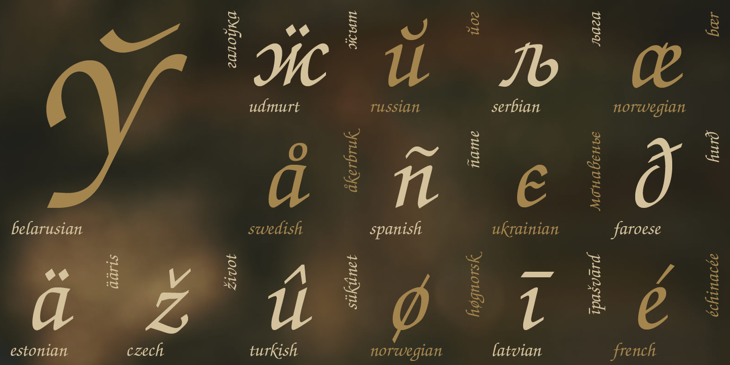 Paratype