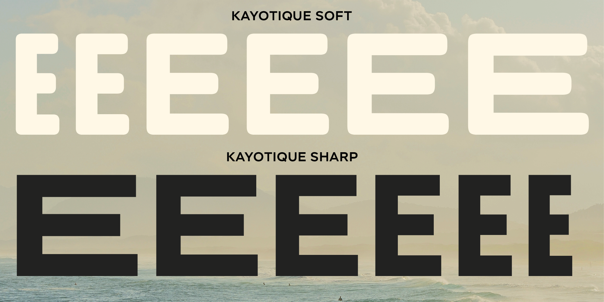 Paratype