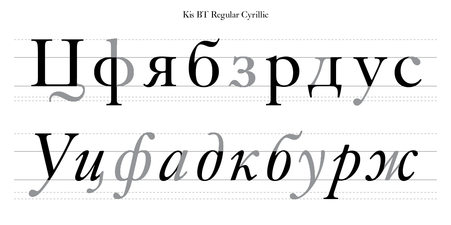 Paratype