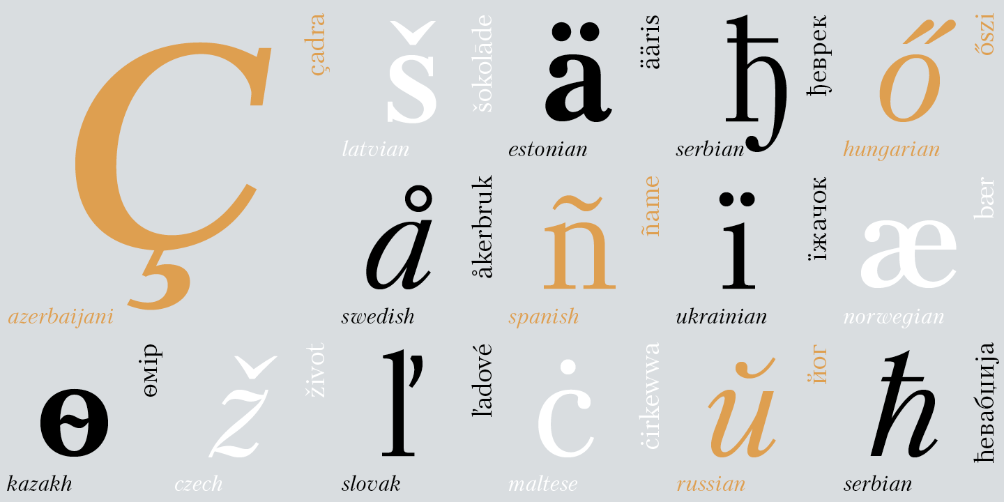 Paratype